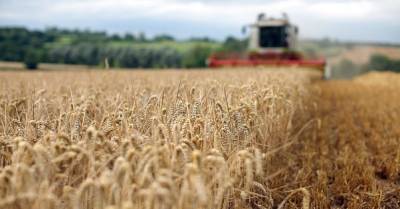 Зеленский утвердил частичное возвращение аграриям ставки НДС 20%