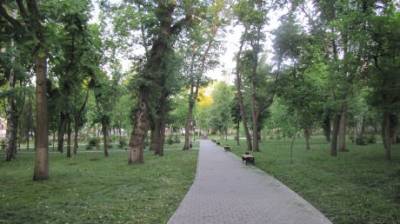 В мэрии Пензы назвали самые важные зеленые места города - penzainform.ru - Пенза