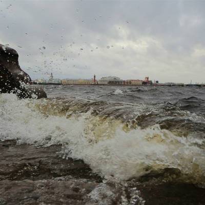 В пятницу в Петербурге ожидаются ливни, грозы и сильный ветер