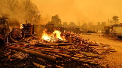 «Глаза режет, пепел падает с неба»: в Турции бушуют лесные пожары