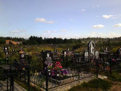 В Тихвине местные жители боятся ходить на городское кладбище - ivbg.ru - Украина - Ленобласть