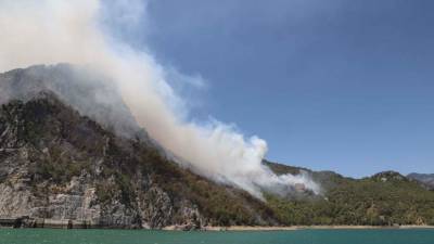 Власти Турции назвали национальной катастрофой лесные пожары на юге страны
