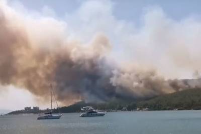 У Эрдогана назвали лесные пожары в Турции национальной катастрофой