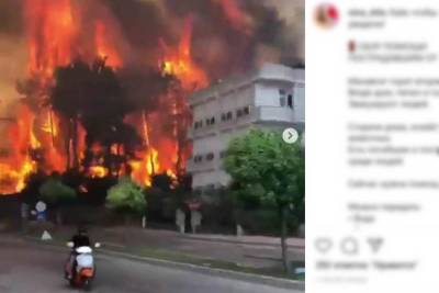 Опубликованы страшные видео подступивших к отелям пожаров в Турции