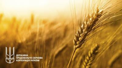 Новые обыски в ГПЗКУ: ГБР расследует возможные факты продажи зерна по заниженным ценам