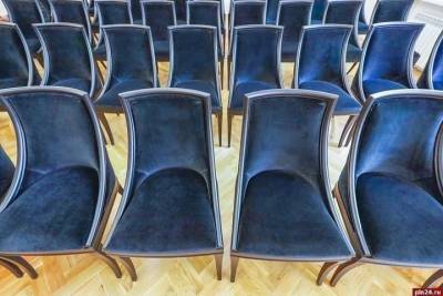 Отмену торгов на покупку скандальных стульев для псковской ДМШ опять обжалуют