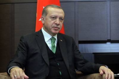 Эрдоган заявил о мобилизации всех сил на борьбу с пожарами