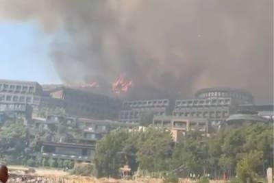 В Турции из-за лесных пожаров эвакуируют туристов из отелей – Учительская газета