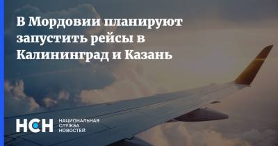 В Мордовии планируют запустить рейсы в Калининград и Казань
