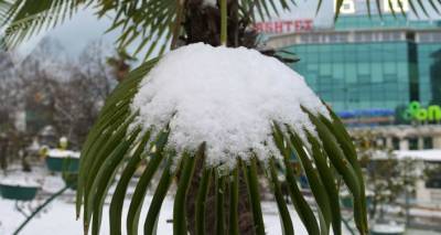 В Бразилии и Аргентине выпал снег