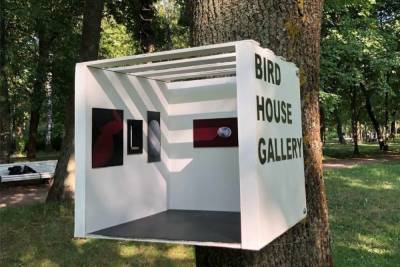 На Каменном острове художник открыл галерею для птиц