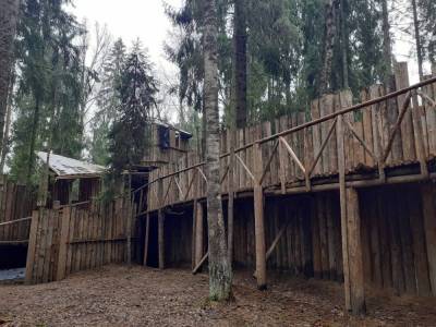 В Ленобласти энтузиасты построили средневековую крепость из дерева