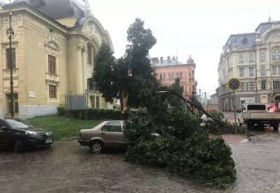 На Черновцы обрушился удар стихии, город ушел под воду (видео)
