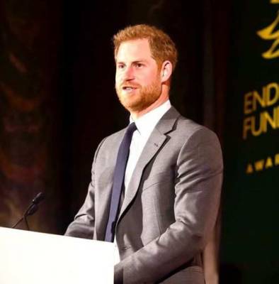 Принц Гарри назвал «платными троллями» авторов критических статей о королевской семье