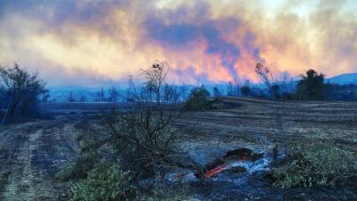 Эвакуировано несколько отелей: как развивается ситуация с лесными пожарами в Турции