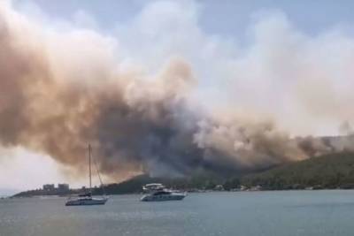 В турецком Бодруме потушили лесной пожар