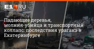 Падающие деревья, молния-убийца и транспортный коллапс: последствия урагана в Екатеринбурге