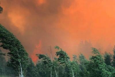 В Якутии потушили лесные пожары на площади 7,5 тыс. га