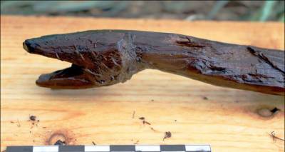 Археологи нашли деревянный посох шамана возрастом 4400 лет