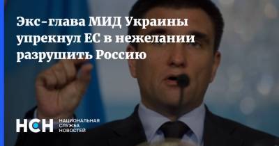 Экс-глава МИД Украины упрекнул ЕС в нежелании разрушить Россию