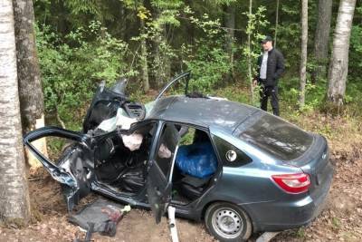 Водитель сбил лося на трассе Р-23 на границе Псковского и Стругокрасненского районов