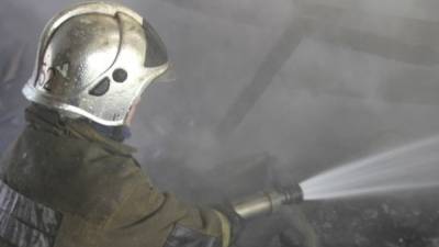 Пожарные потушили охваченные огнем бытовки в Мурине
