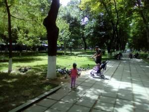 За зеленые зоны, парки и аллеи взялись в Ташкенте