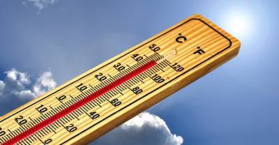 В Канаде от 50-градусной "африканской" жары за неделю погибло свыше 700 человек