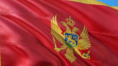 Милан Кнежевич: Черногория провалится в «экономическую пропасть» при ухудшении отношений с Москвой