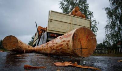 Бревно сорвалось с лесовоза под Ростовом, став причиной массового ДТП с погибшим