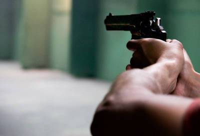 Петербуржец обстрелял детский сад из пневматического пистолета