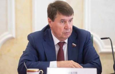 Сенатор Цеков рассказал о ситуации в киберсфере между Россией и США