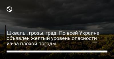 Шквалы, грозы, град. По всей Украине объявлен желтый уровень опасности из-за плохой погоды