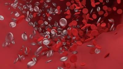 Биофизики обнаружили изменения в клетках крови у перенесших COVID-19