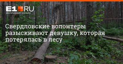Свердловские волонтеры разыскивают девушку, которая потерялась в лесу