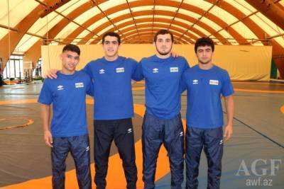 Азербайджанские борцы вышли в 1/4 финала чемпионата Европы в Дортмунде