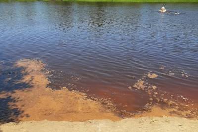 Рязанское минприроды установило юрлицо, загрязняющее реку Старицу