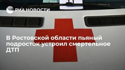 В Ростовской области пьяный подросток на легковушке врезался в дерево, два человека погибли