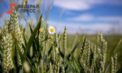 В Россию запретили ввозить украинские продукты