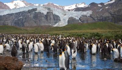 В Антарктиде официально зафиксирован новый температурный рекорд