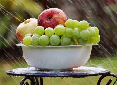 Диетолог Королева рассказала, как нужно правильно мыть фрукты, овощи и зелень