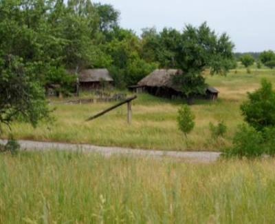 Природа побеждает: как в Чернобыльской зоне исчезают целые села. ФОТО