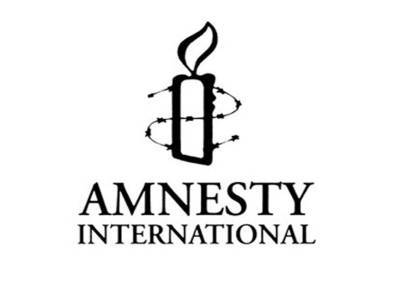 Некоторые международные организации, такие как Amnesty International, всегда выступали по отношению к Азербайджану с позиции двойных стандартов - депутат