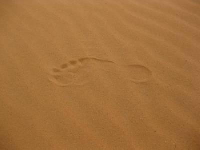 В Рязанской области во время детской игры 3 июля мальчика насмерть засыпало песком