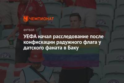 УЕФА начал расследование после конфискации радужного флага у датского фаната в Баку