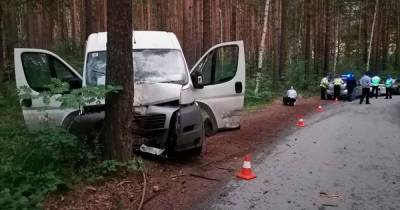 Пьяный водитель врезался в дерево на Урале, в ДТП погибла его дочь