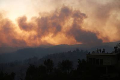 В Турции число жертв лесных пожаров выросло до четырёх