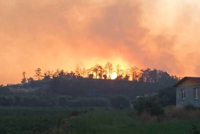 Лесной пожар потушили в Бодруме