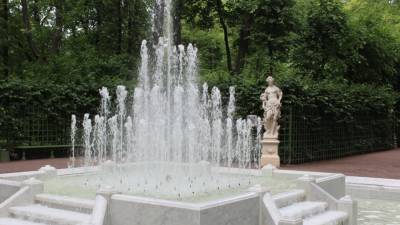 Организаторов вечеринки в Летнем саду Петербурга оштрафовали за шампанское в фонтане