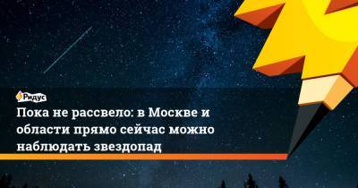 Пока не рассвело: в Москве и области прямо сейчас можно наблюдать звездопад